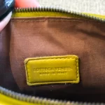 clutch bottega1